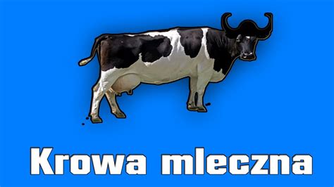  Geremew i Krowa Mleczna: Czy Dobroć Zawsze Ma Nagrodę?